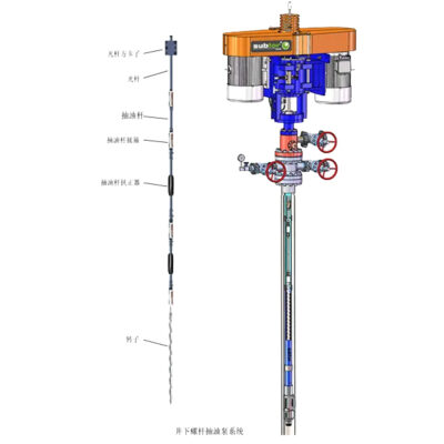 Downhole Progressive Cavity Pump